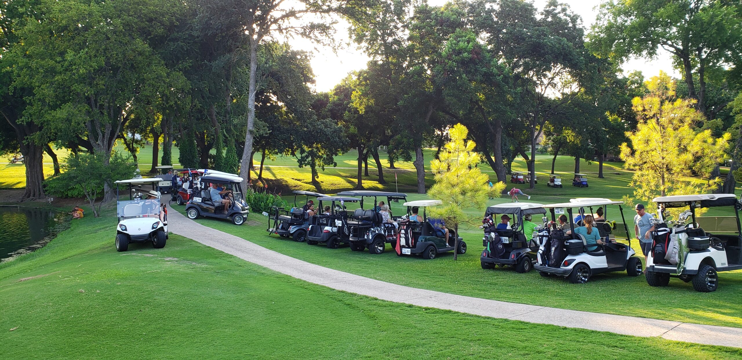 golf-carts